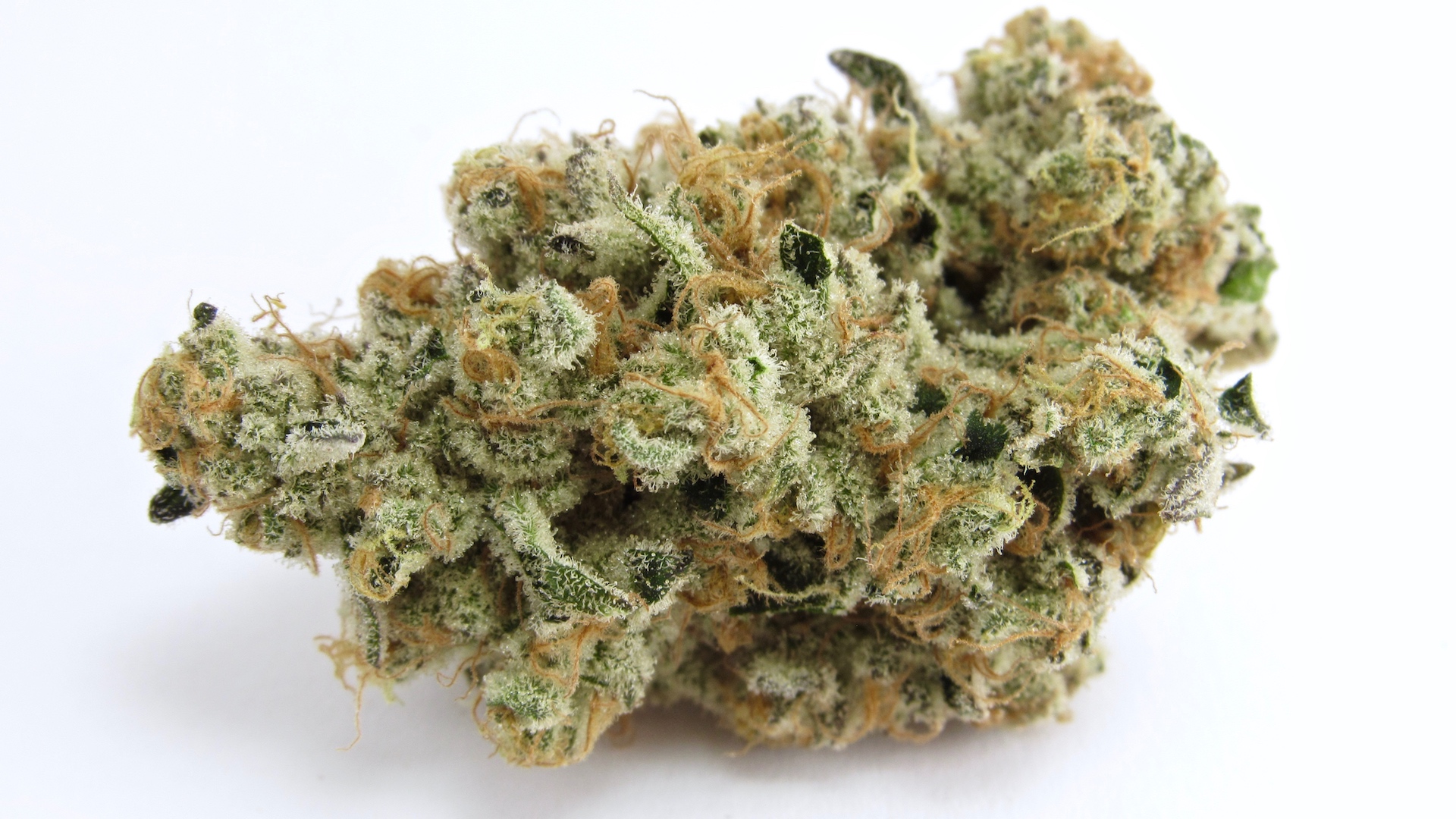 Platinum Kush Breath Weed Strain Information Leafly